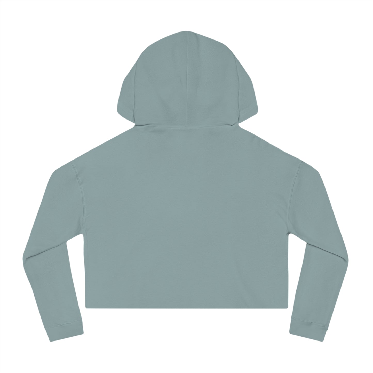 DEPARTMENT OF JESUS CROP HOODIE